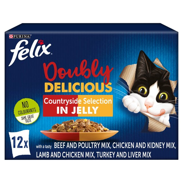 Felix As Good As It Looks Food Dbly/Del Meat 12X100g